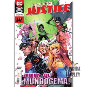 YOUNG JUSTICE NÚM. 06