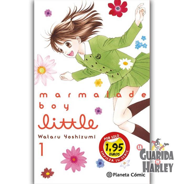 SM Marmalade Boy Little nº 01 1,95 Wataru Yoshizumi