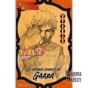 Naruto Garaa (novela)